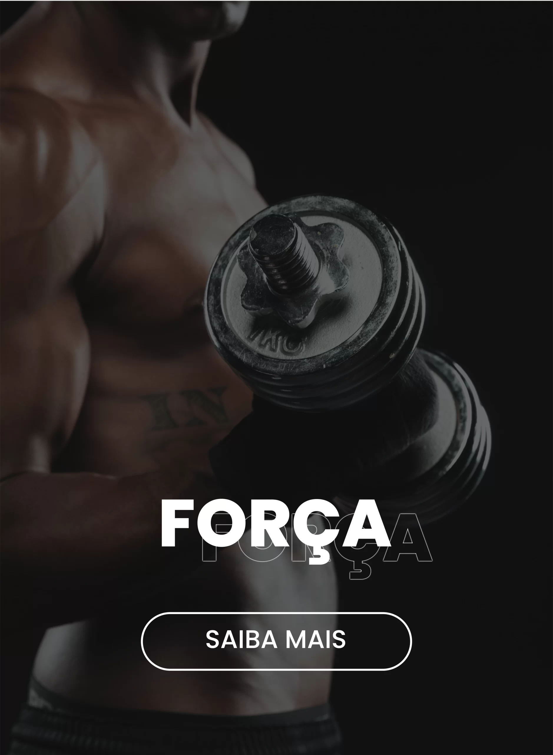 força saib